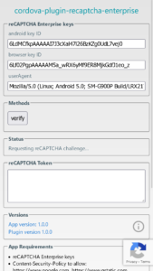 Recaptcha Enterprise plugin demo 2