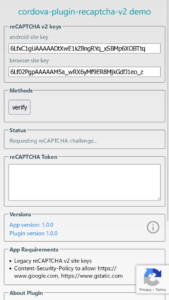 Recaptcha V2 002