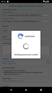 Recaptcha V2 002