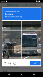 Recaptcha V2 003