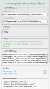 Recaptcha V2 004